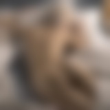 channel icon