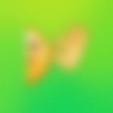 channel icon