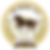 channel icon