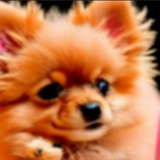 channel icon