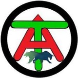 channel icon