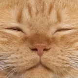 channel icon