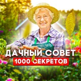 channel icon