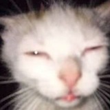 channel icon