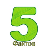 channel icon